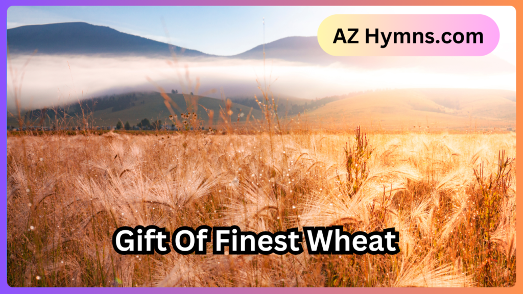 Gift Of Finest Wheat